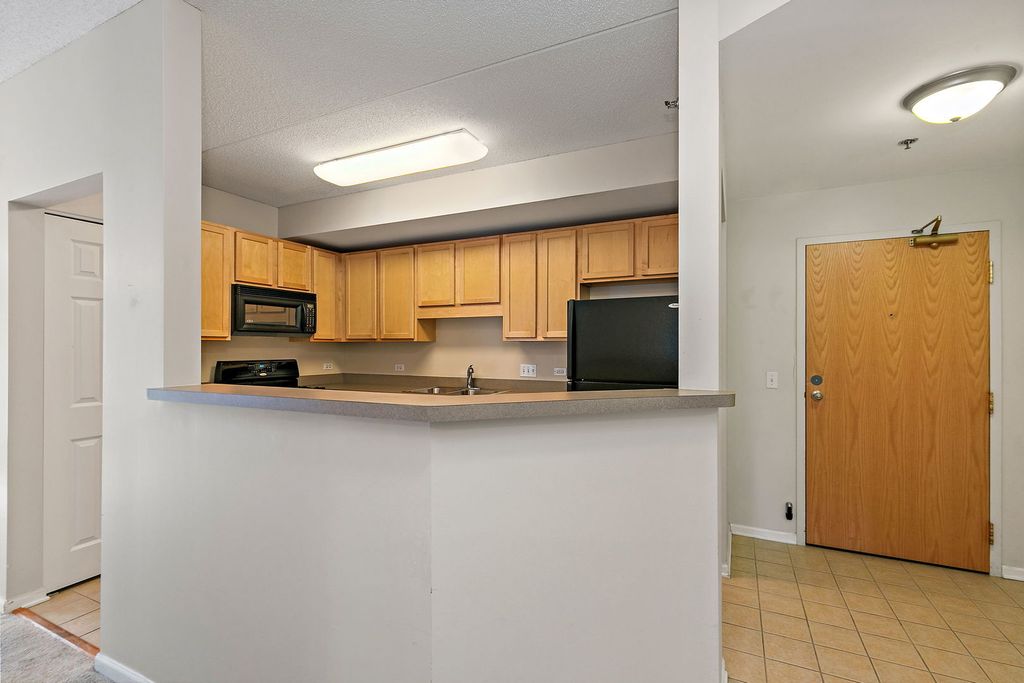 410 W Mahogany Court 202, Palatine, IL 60067 — photo 4