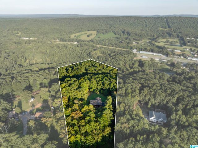 585 DOGWOOD TRAIL, Remlap, AL 35133