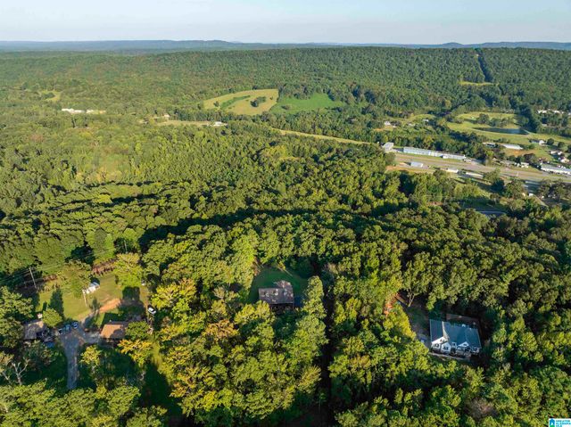 585 DOGWOOD TRAIL, Remlap, AL 35133