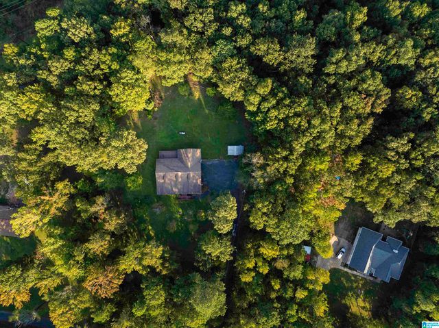 585 DOGWOOD TRAIL, Remlap, AL 35133