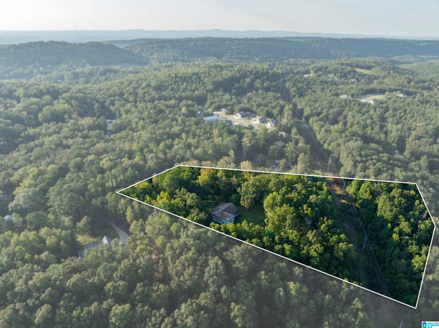 585 DOGWOOD TRAIL, Remlap, AL 35133