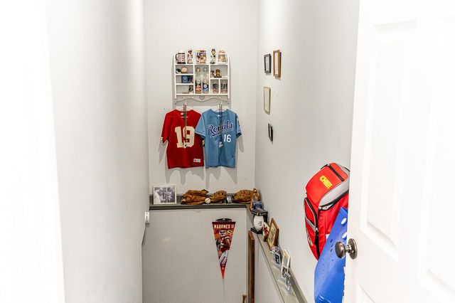 25345 County Road 246, Hermitage, MO 65668