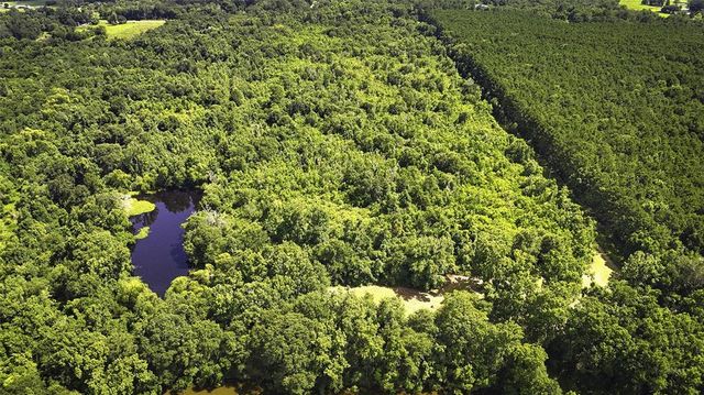 467 Private Road 1138, Liberty, TX 77575