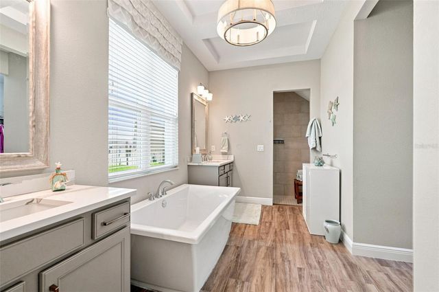 4093 EPIC COVE, Land O Lakes, FL 34638