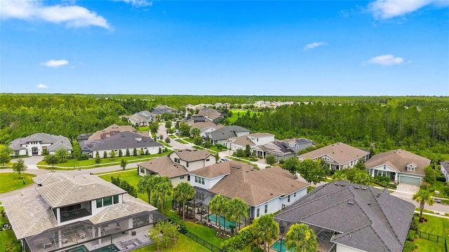 4093 EPIC COVE, Land O Lakes, FL 34638