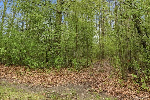 20052 Pine Street, Brownstown, MI 48183
