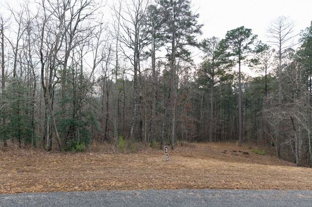0 Freestone Street, Talking Rock, GA 30175