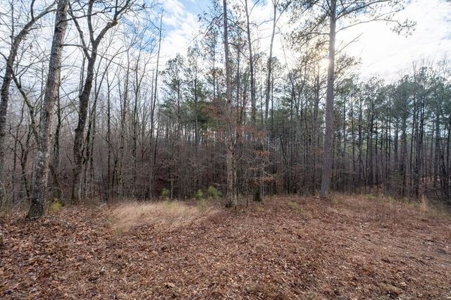 0 Freestone Street, Talking Rock, GA 30175