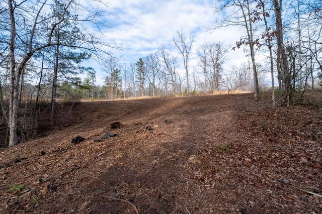 0 Freestone Street, Talking Rock, GA 30175
