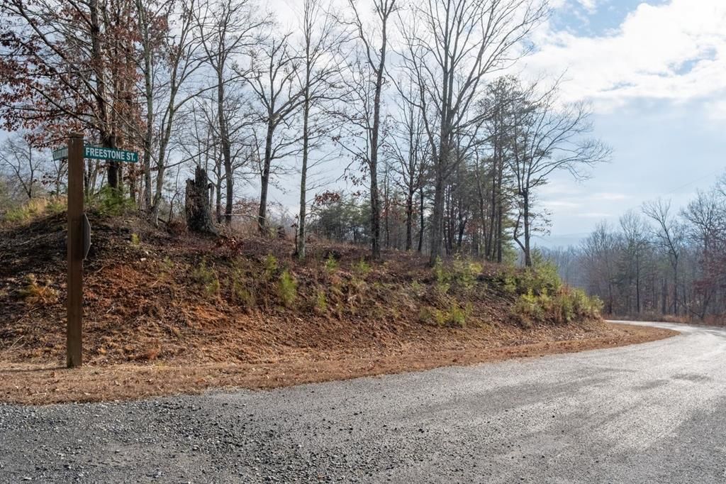 0 Freestone Street, Talking Rock, GA 30175