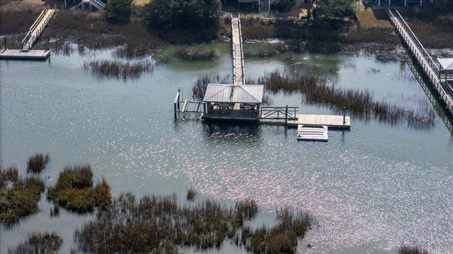 308 Jungle Shores Drive, Edisto Beach, SC 29438