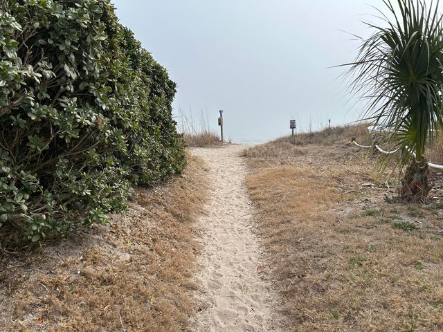 308 Jungle Shores Drive, Edisto Beach, SC 29438