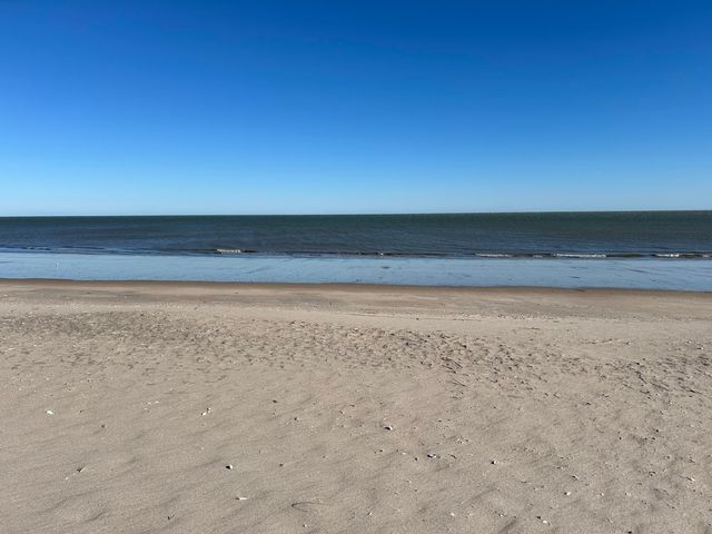 308 Jungle Shores Drive, Edisto Beach, SC 29438