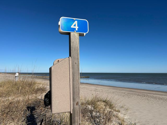 308 Jungle Shores Drive, Edisto Beach, SC 29438