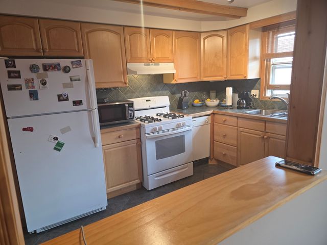 2041 N Harlem Avenue 3E, Chicago, IL 60707