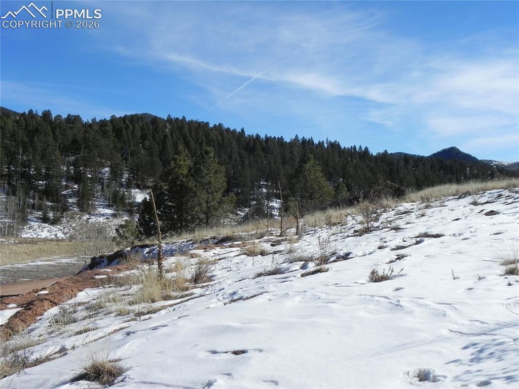 277 Gold King Drive, Cripple Creek, CO 80813 — photo 3