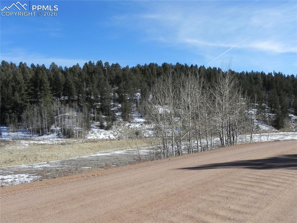 277 Gold King Drive, Cripple Creek, CO 80813 — photo 5