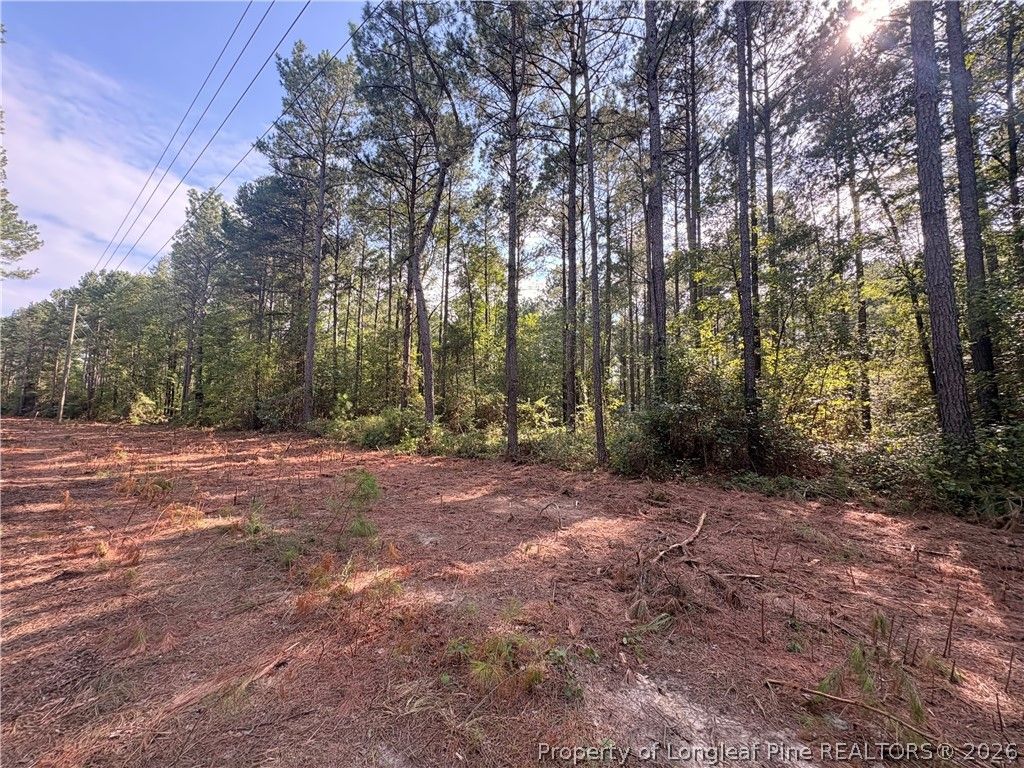 S Plank Road, Sanford, NC 27330 — photo 2