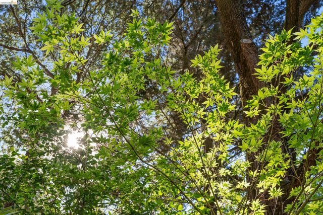 6600 Heather Ridge Way, Oakland, CA 94611