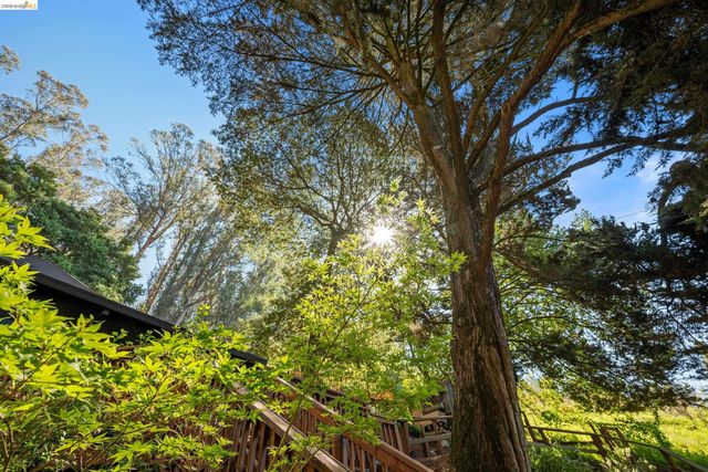 6600 Heather Ridge Way, Oakland, CA 94611