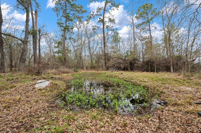 19205 Deer Glen Drive, Conroe, TX 77302