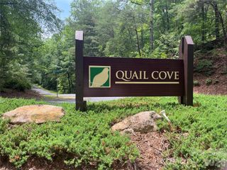 155 Quail Cove Boulevard 1608, Lake Lure, NC 28746