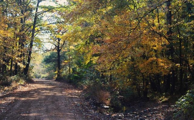 5304 Cutoff Road, Mulberry, AR 72947