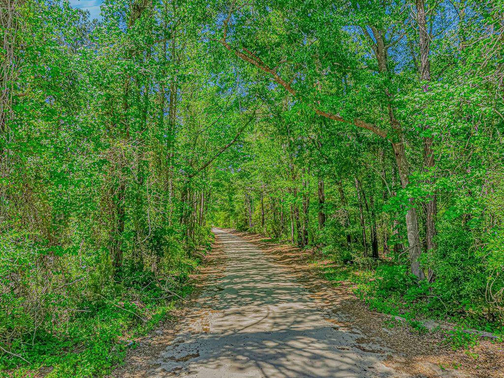 TBD Piney Grove Church Rd, Gresham, SC 29546 — exterior