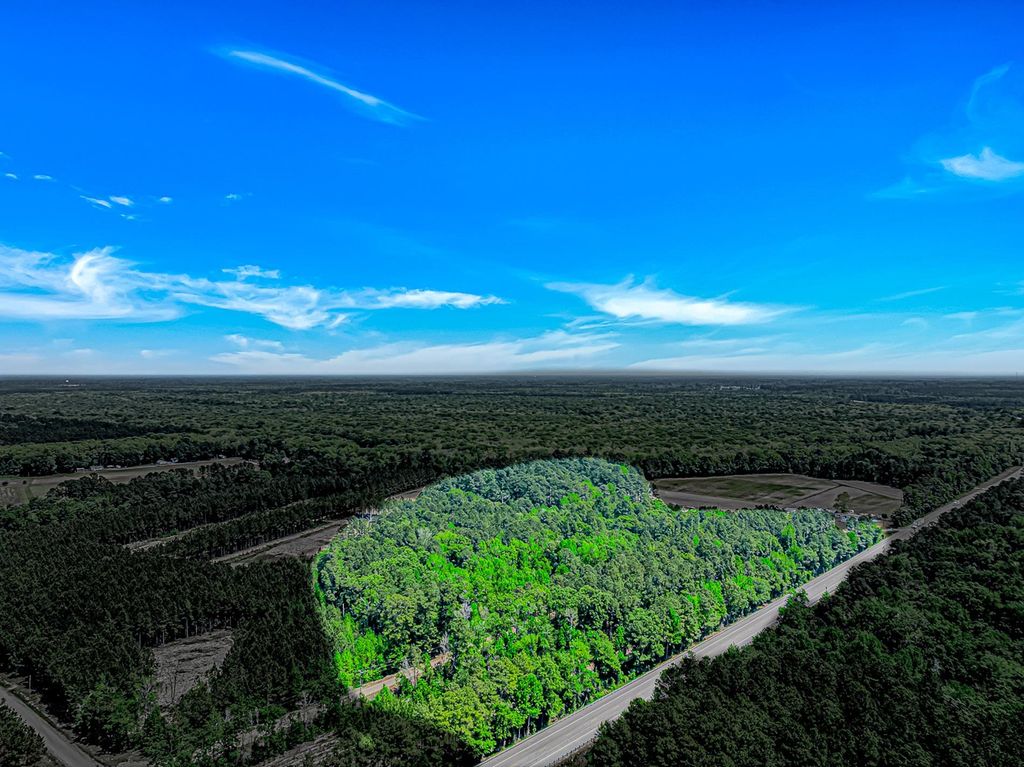 TBD Piney Grove Church Rd, Gresham, SC 29546 — photo 2