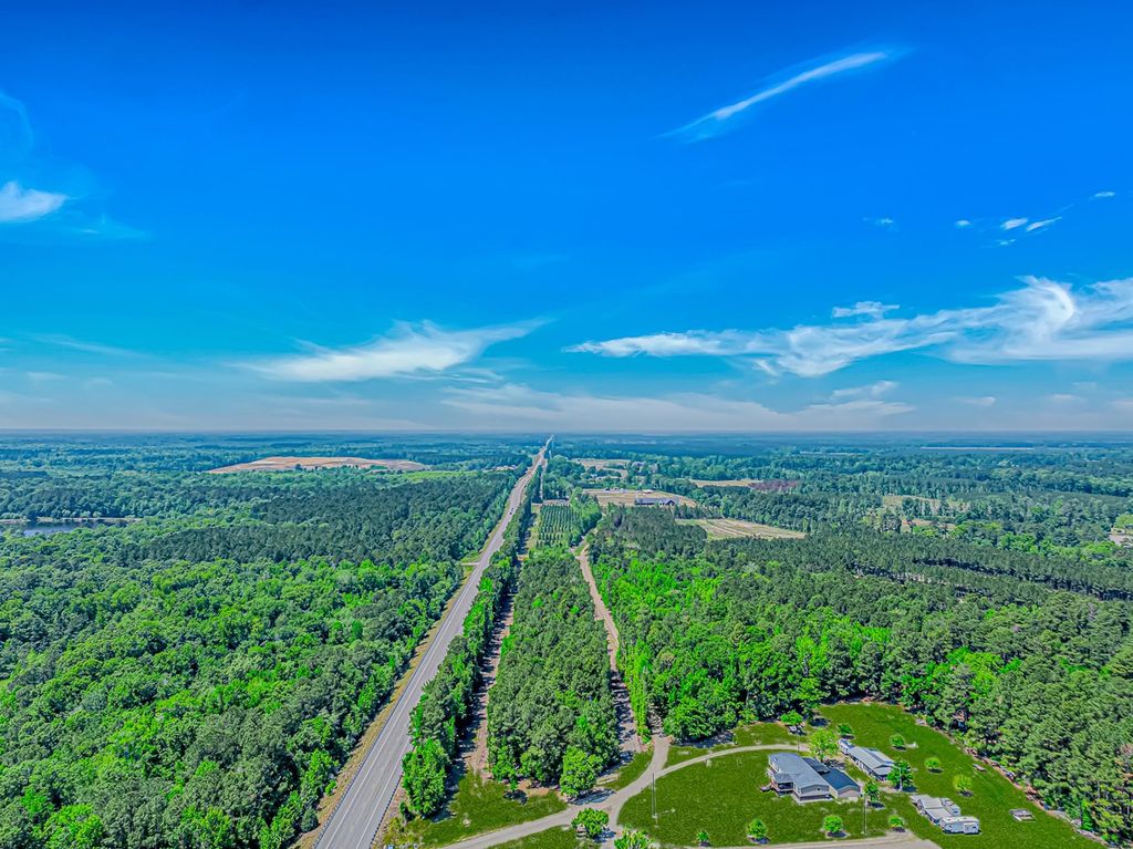 TBD Piney Grove Church Rd, Gresham, SC 29546 — photo 3