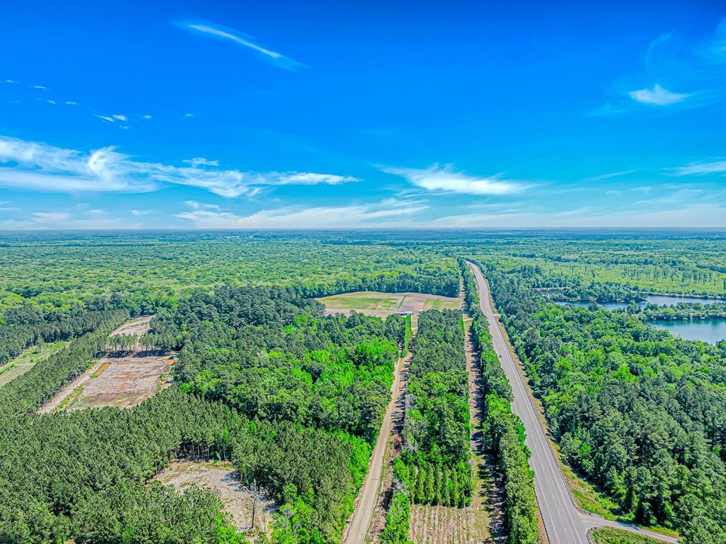 TBD Piney Grove Church Rd, Gresham, SC 29546 — photo 4