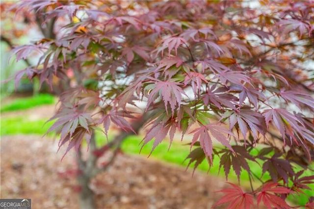 229 Dennis Drive, Alpharetta, GA 30009