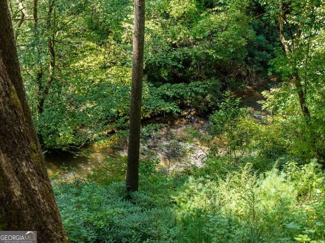 488 Whispering Pine Lane 9, Cherry Log, GA 30522