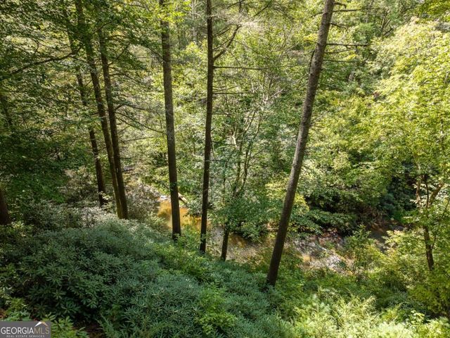488 Whispering Pine Lane 9, Cherry Log, GA 30522