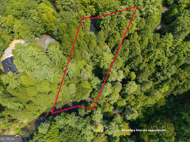 488 Whispering Pine Lane 9, Cherry Log, GA 30522