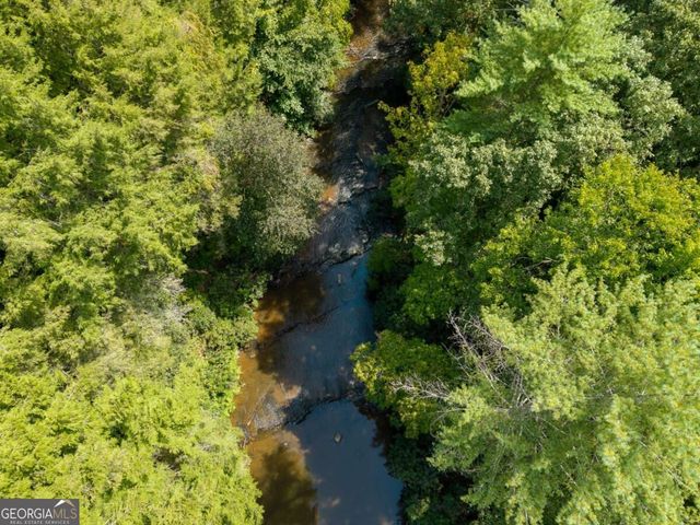488 Whispering Pine Lane 9, Cherry Log, GA 30522