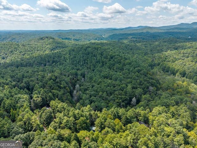 488 Whispering Pine Lane 9, Cherry Log, GA 30522