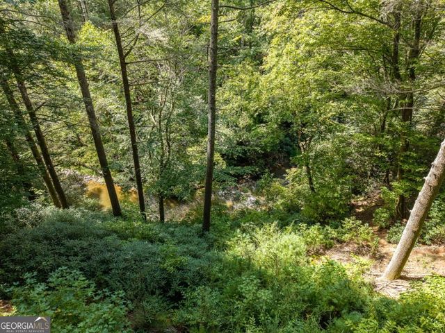 488 Whispering Pine Lane 9, Cherry Log, GA 30522