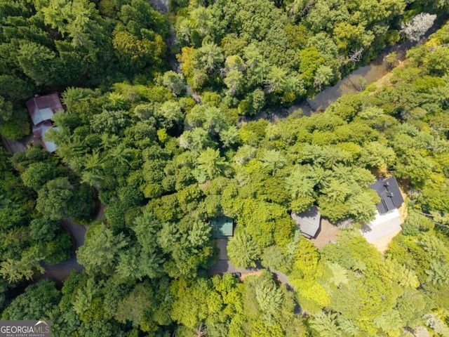 488 Whispering Pine Lane 9, Cherry Log, GA 30522