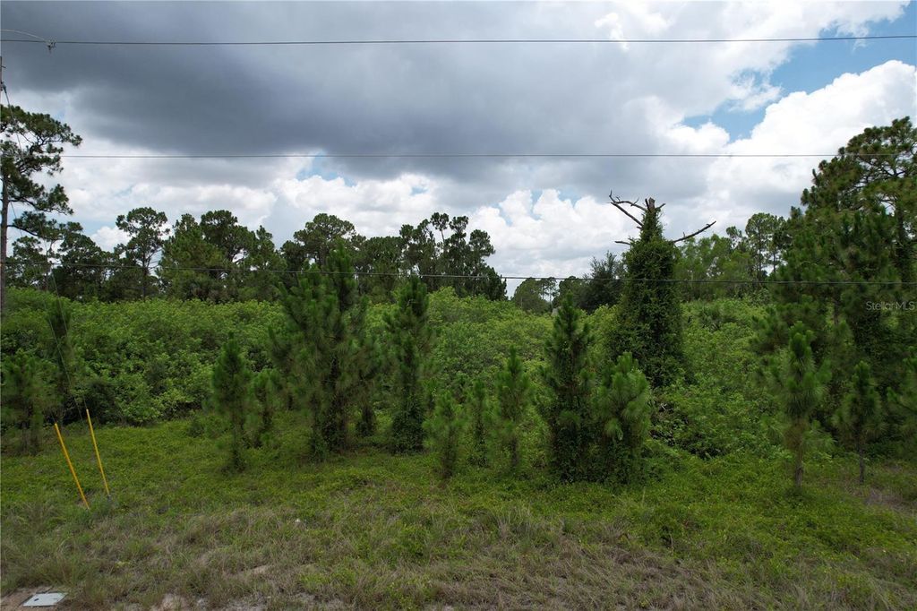 980 LAKESIDE DRIVE, Lehigh Acres, FL 33974
