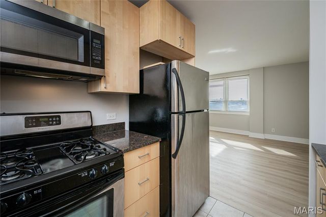 210 N 17th Street 1011, St Louis, MO 63103