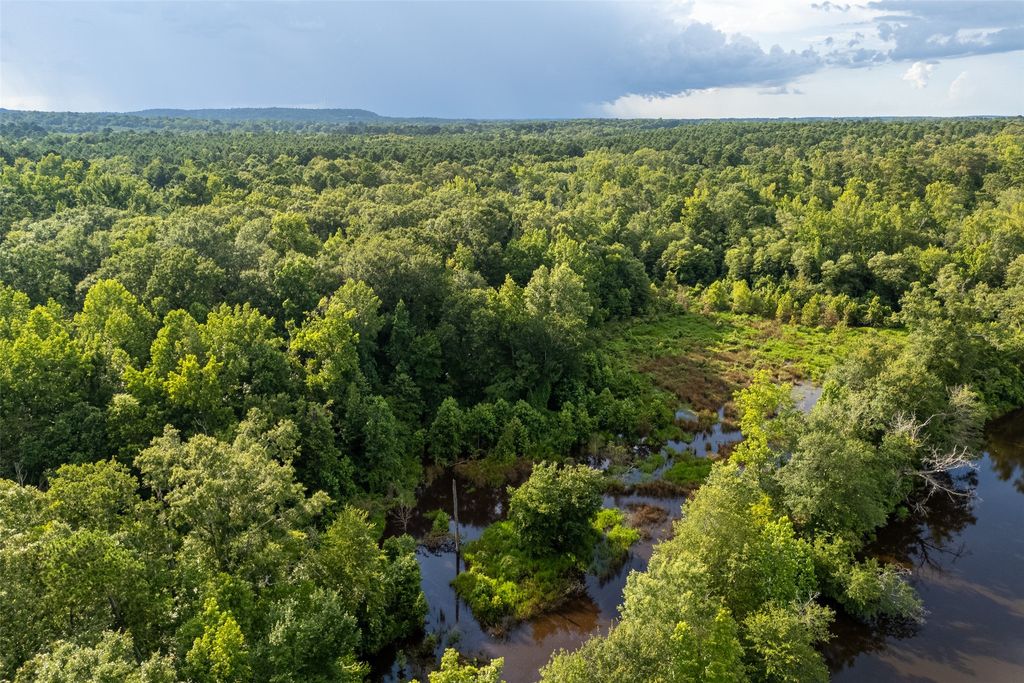 00 Lemon Rd., Gilmer, TX 75644