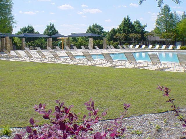 209 Bird Creek Drive, Little Elm, TX 75068