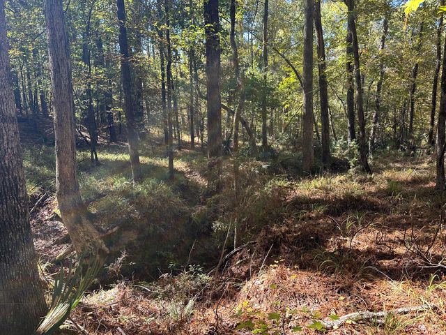 167 Southwind Drive, Mc Cormick, SC 29835