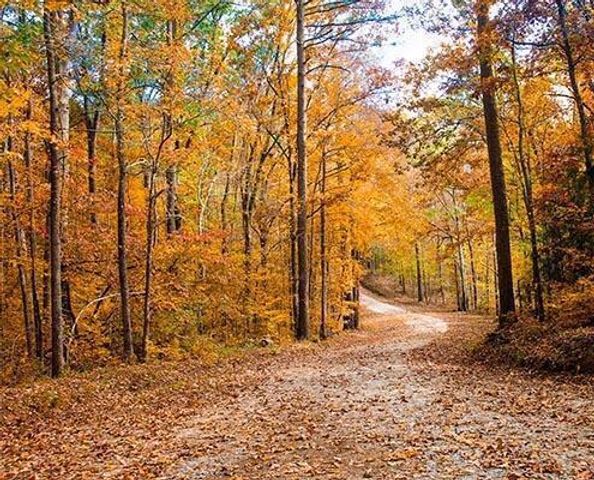 167 Southwind Drive, Mc Cormick, SC 29835