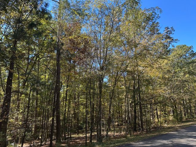 167 Southwind Drive, Mc Cormick, SC 29835