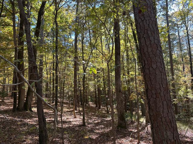 167 Southwind Drive, Mc Cormick, SC 29835