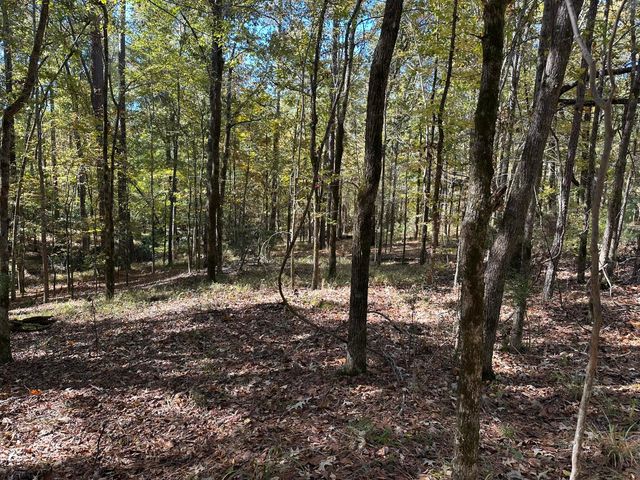 167 Southwind Drive, Mc Cormick, SC 29835