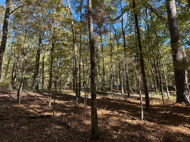 167 Southwind Drive, Mc Cormick, SC 29835