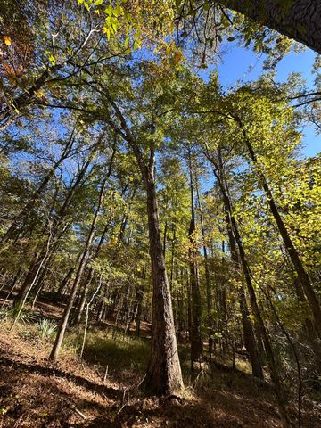 167 Southwind Drive, Mc Cormick, SC 29835